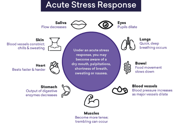 acute-stress-response-infographic